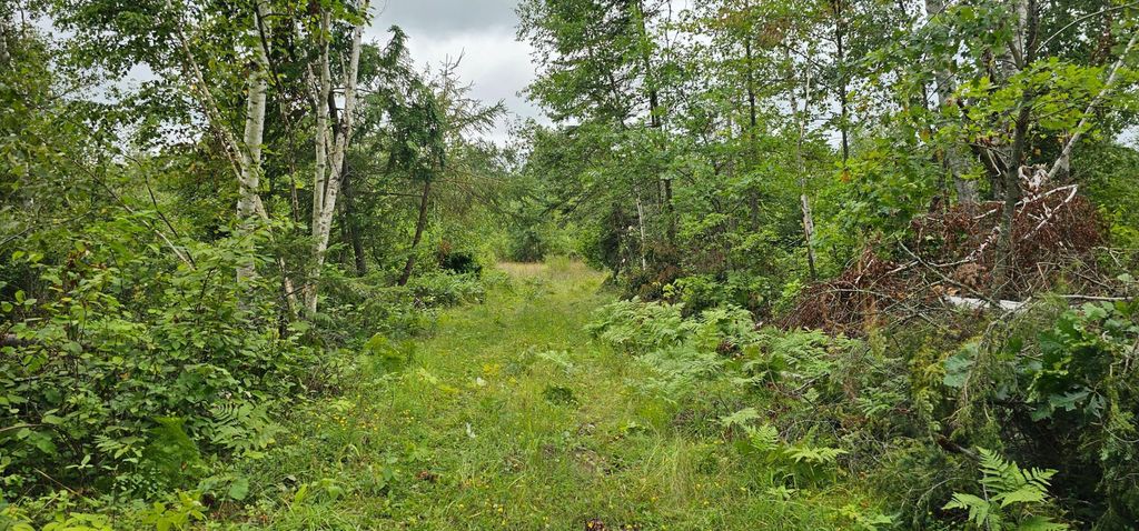 Photo of TBD Parcel B Sunnyside Road SE, Bemidji, MN 56601 (MLS # 7009756)
