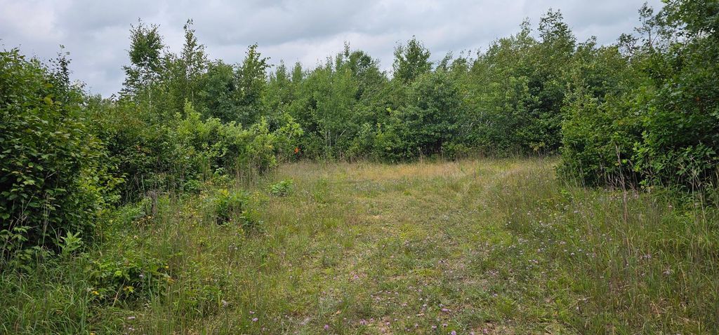 Photo of TBD Parcel B Sunnyside Road SE, Bemidji, MN 56601 (MLS # 7009756)