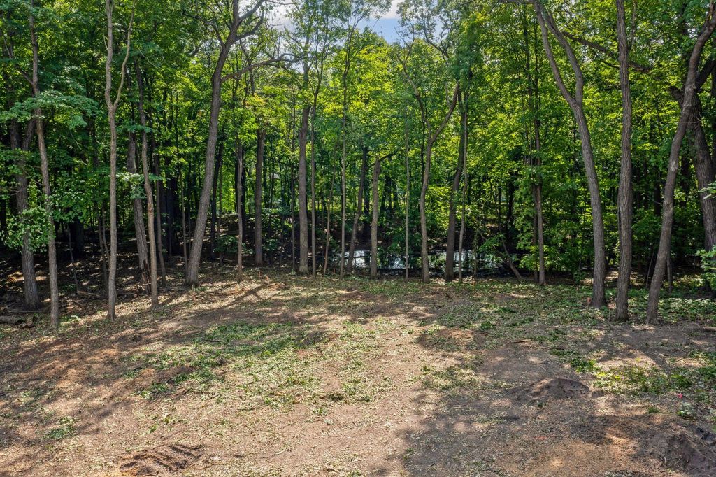 Photo of 601 Fox Hill Drive, Chanhassen, MN 55317 (MLS # 7036633)