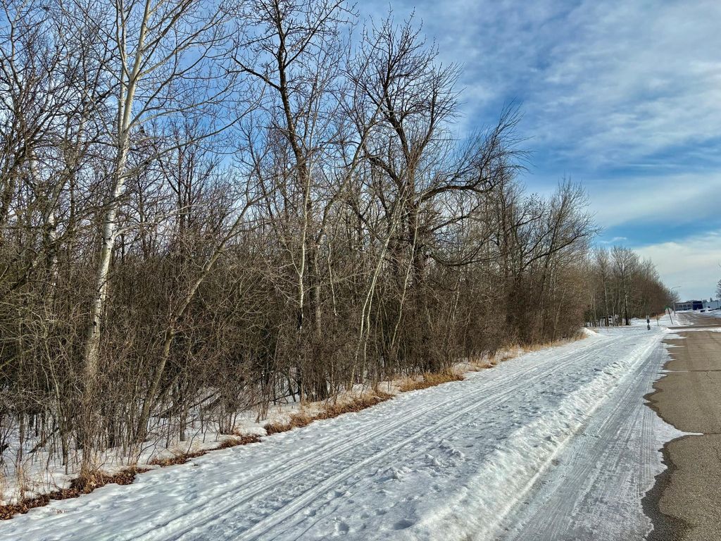 Photo of TBD Gladys St NE, Warroad, MN 56763 (MLS # 7022971)