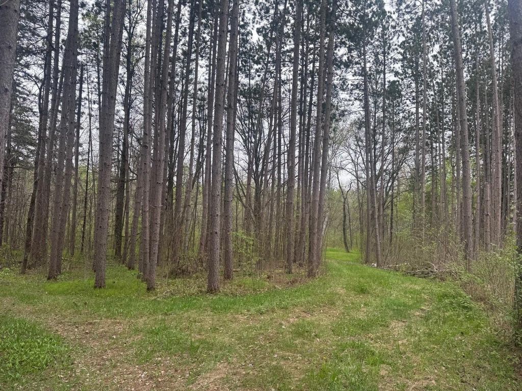 Photo of 18831 124th Lane, McGrath, MN 56350 (MLS # 7076406)
