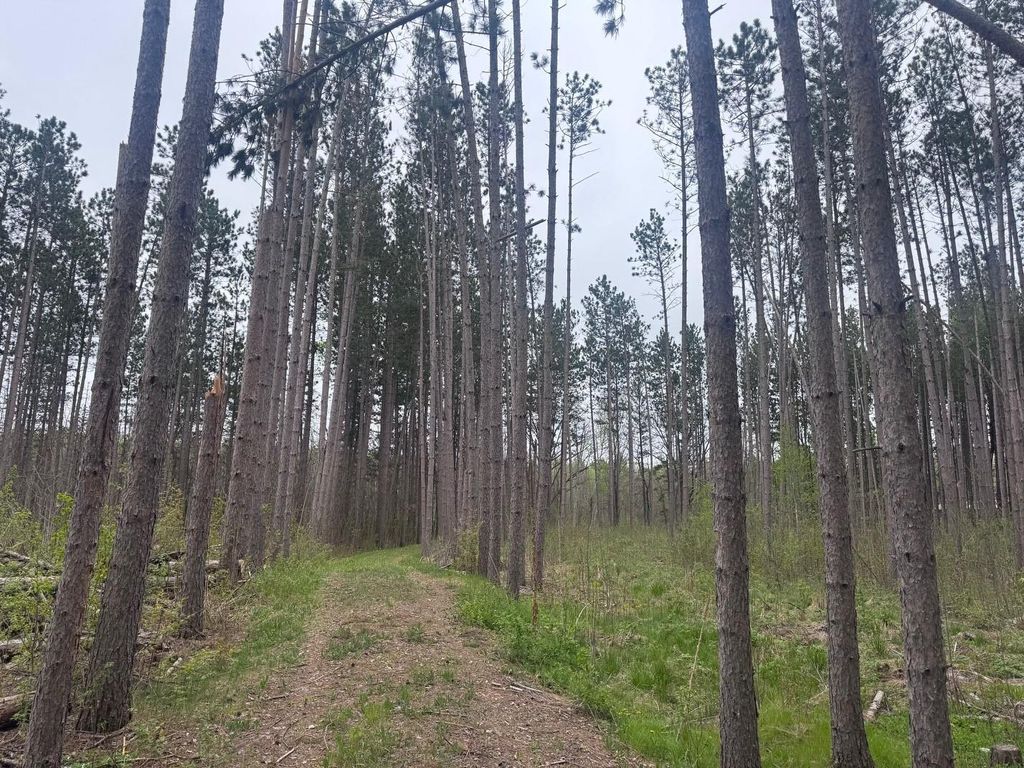 Photo of 18831 124th Lane, McGrath, MN 56350 (MLS # 7076406)