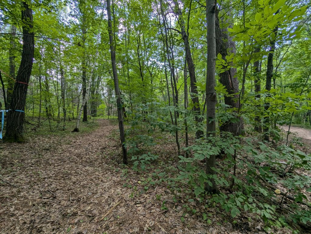Photo of Lot 4 Fosmo, Webster, WI 54893 (MLS # 7041587)