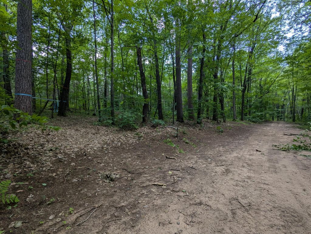 Photo of Lot 4 Fosmo, Webster, WI 54893 (MLS # 7041587)