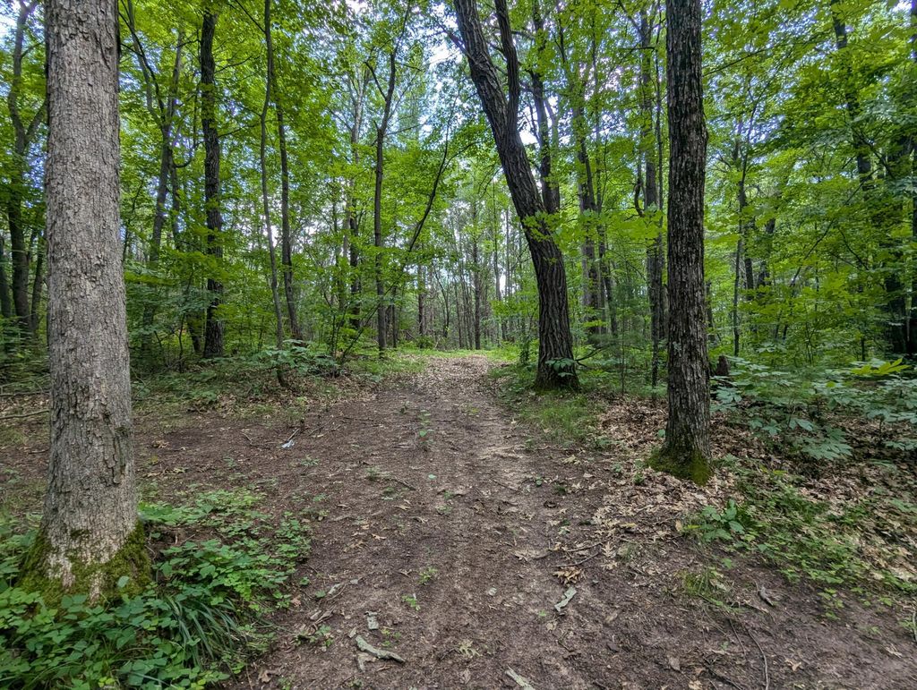 Photo of Lot 4 Fosmo, Webster, WI 54893 (MLS # 7041587)