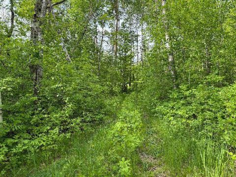 TBD Co Rd 141 Detroit Lakes MN 56501