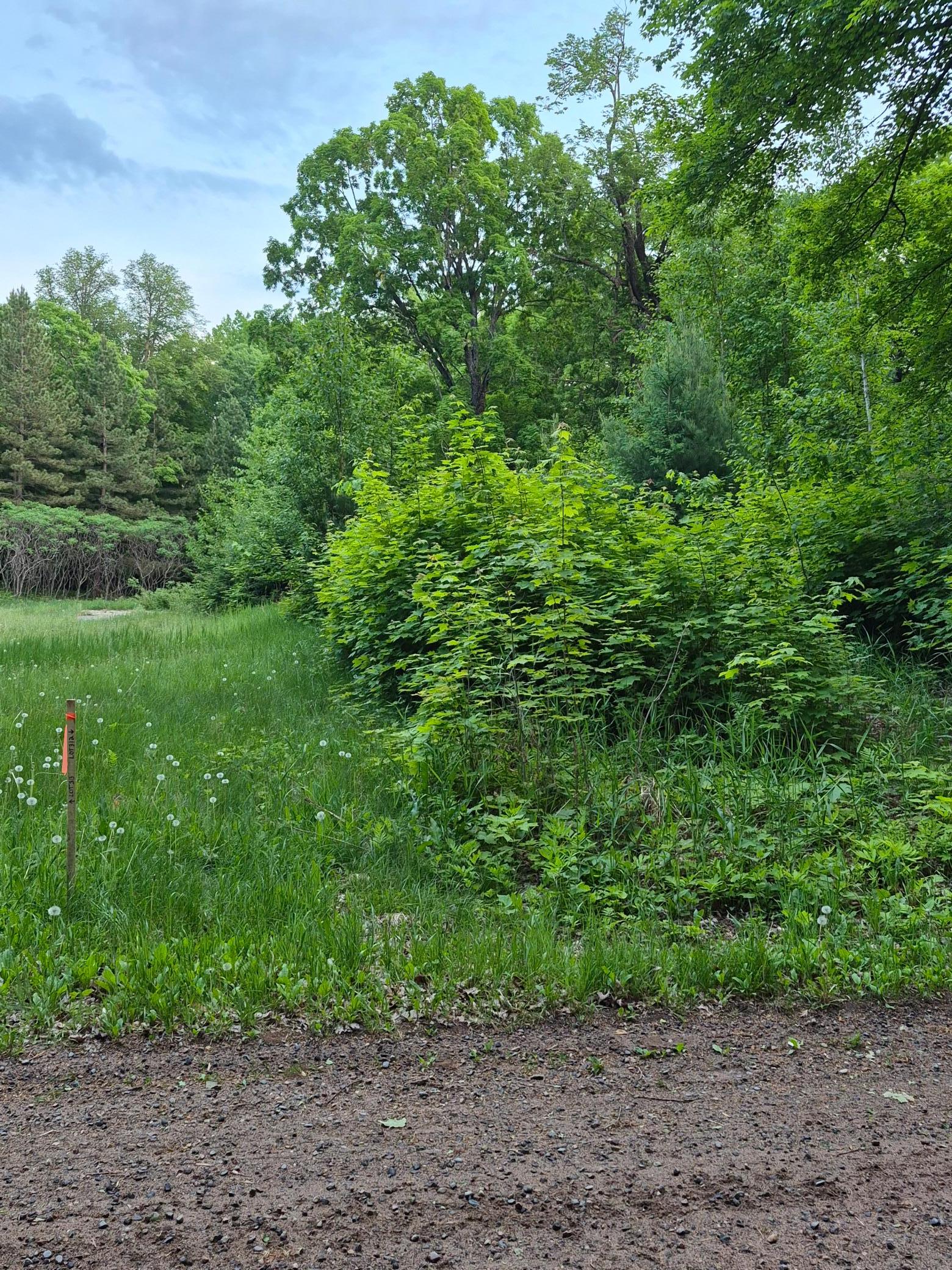 TBD Lot 312 & 313 197th Ave