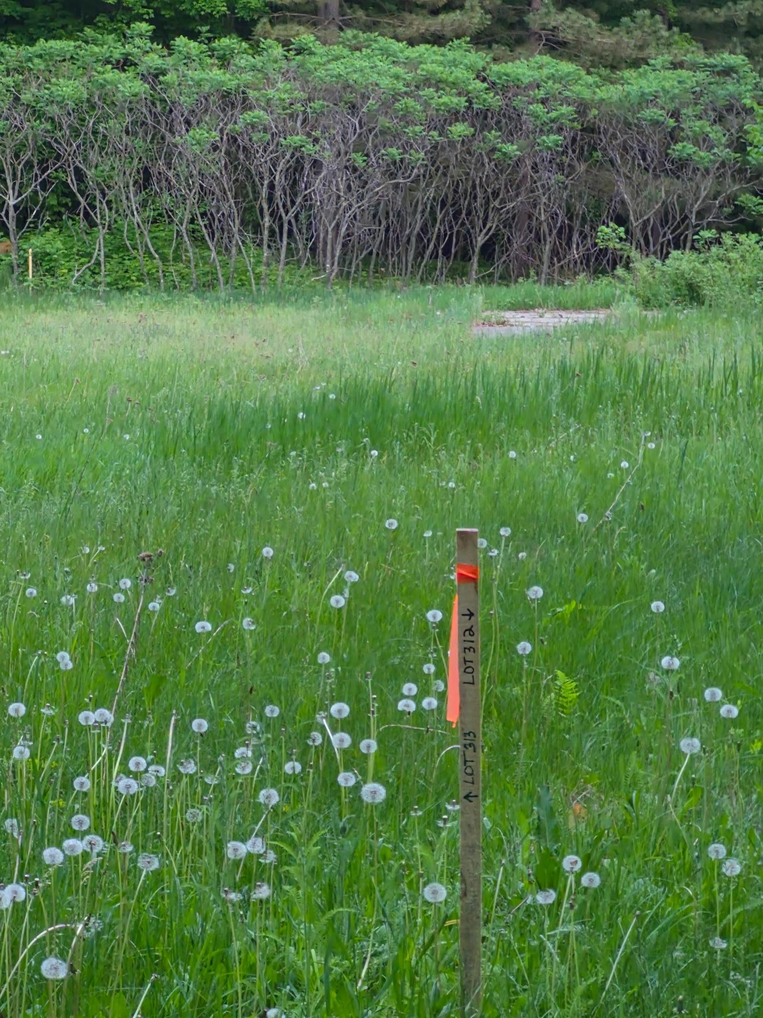 TBD Lot 312 & 313 197th Ave