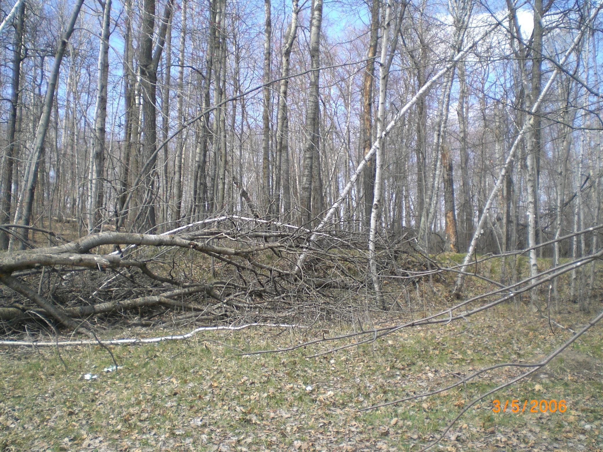 Lot 211 Catskill Circle