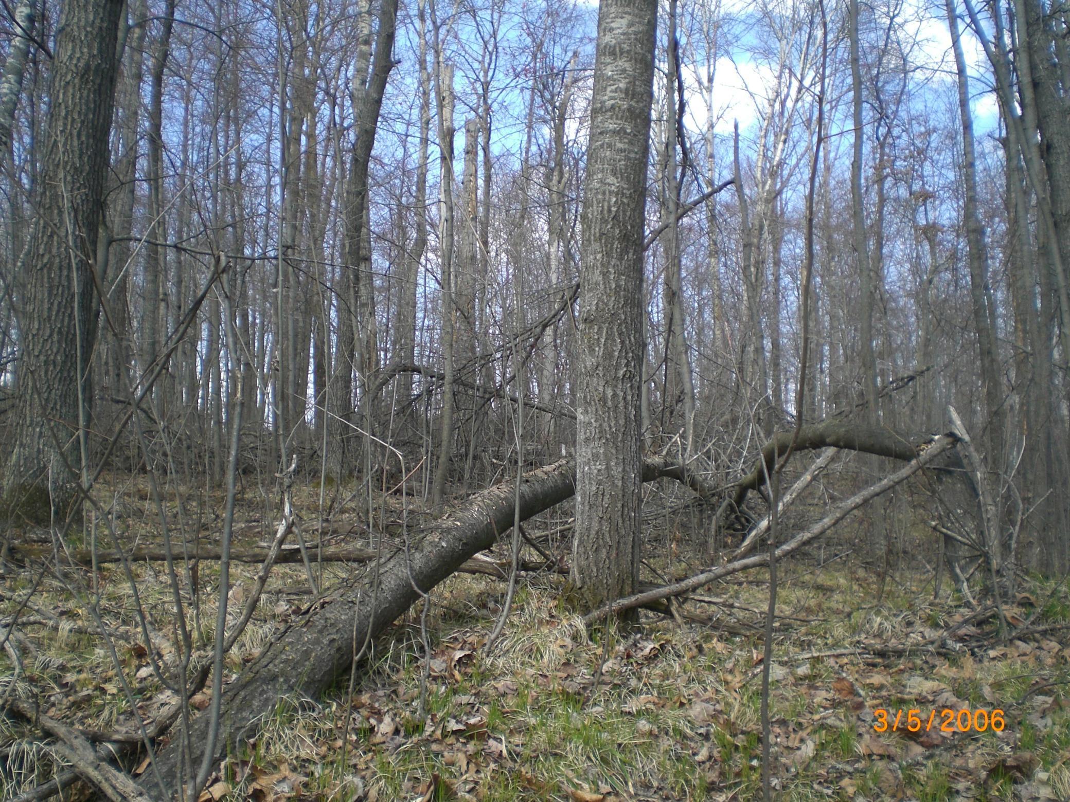 Lot 211 Catskill Circle
