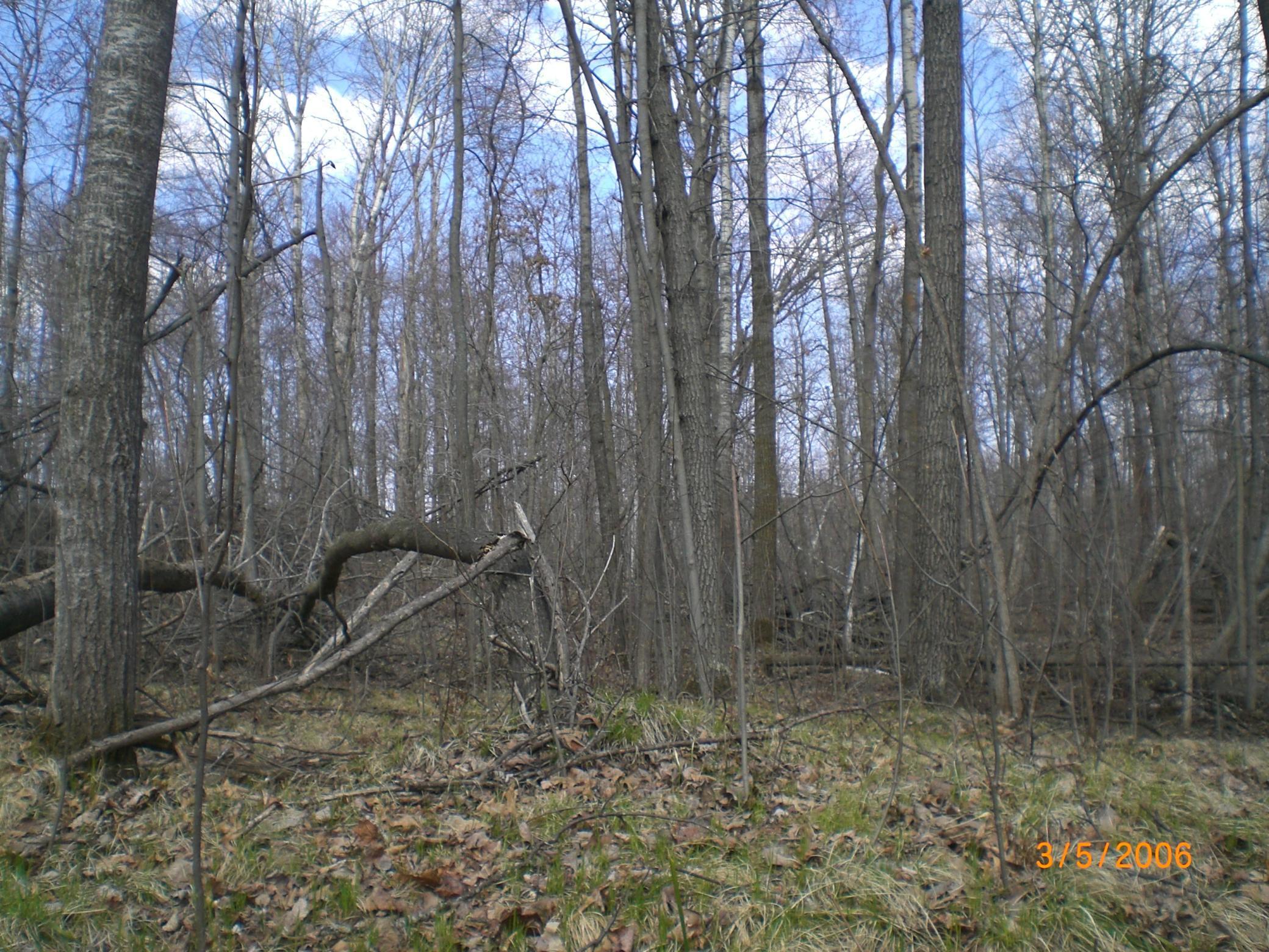 Lot 211 Catskill Circle