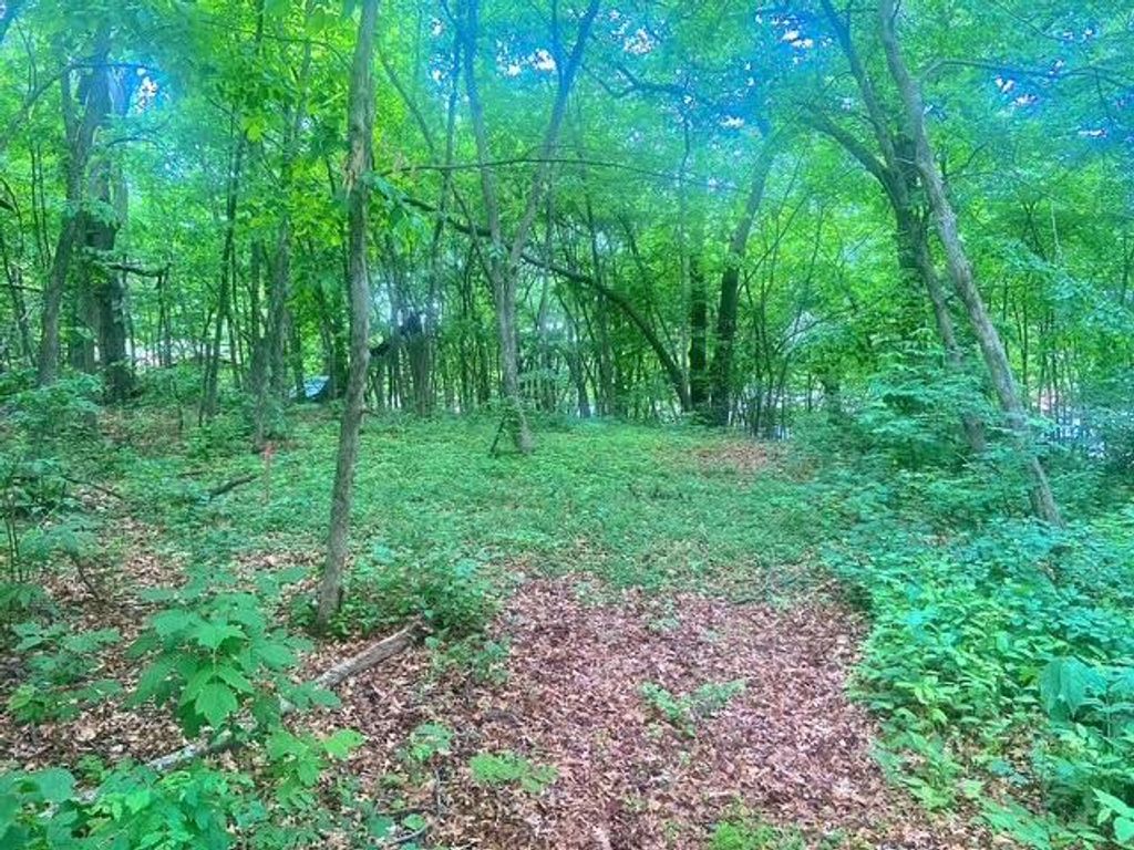 Photo of TBD 98th Street NW, Zimmerman, MN 55398 (MLS # 7079815)