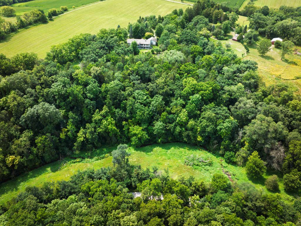 Photo of 18123 Deer Road, Lanesboro, MN 55949 (MLS # 7116091)