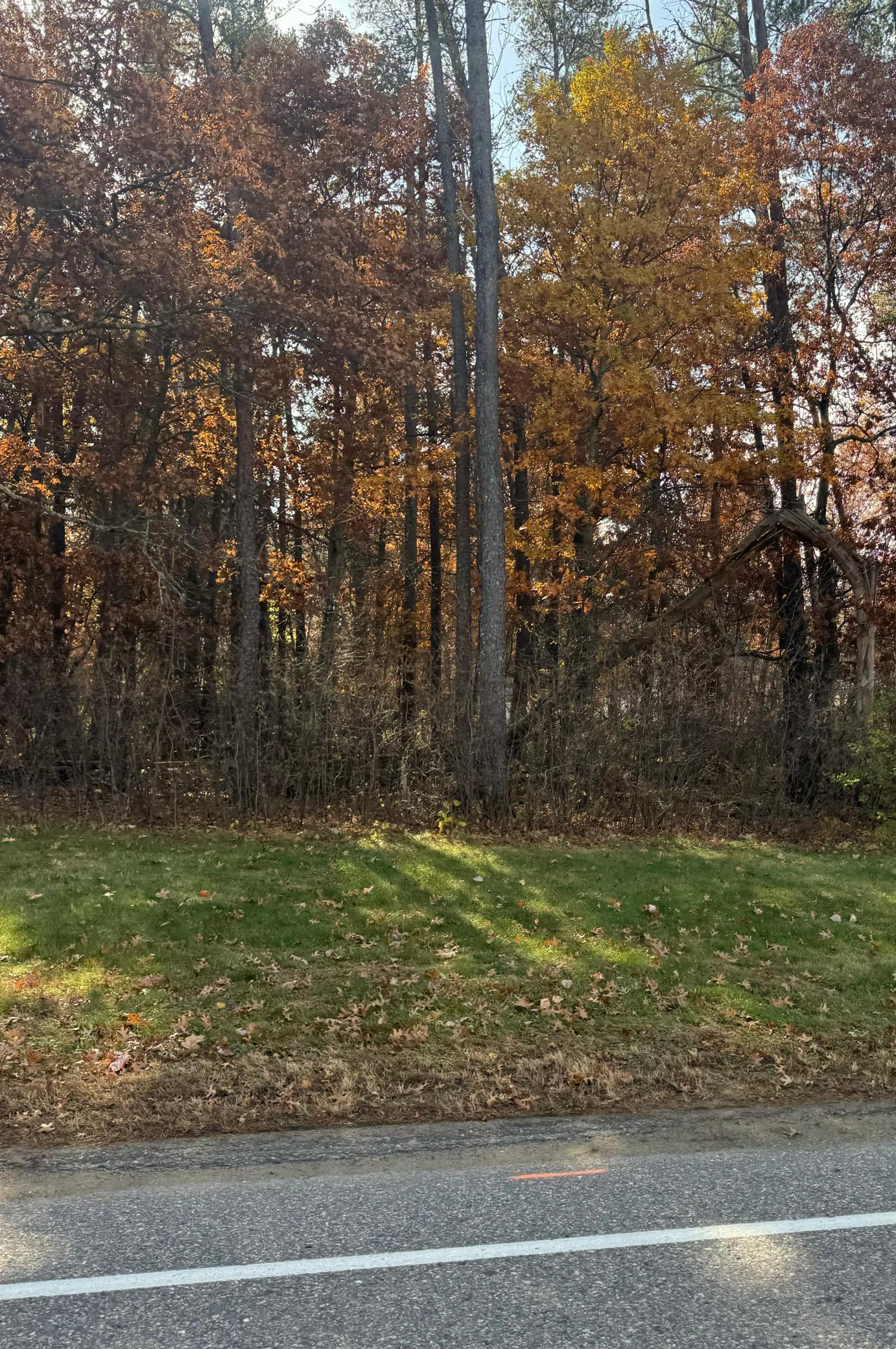 TBD Clearwater Road N