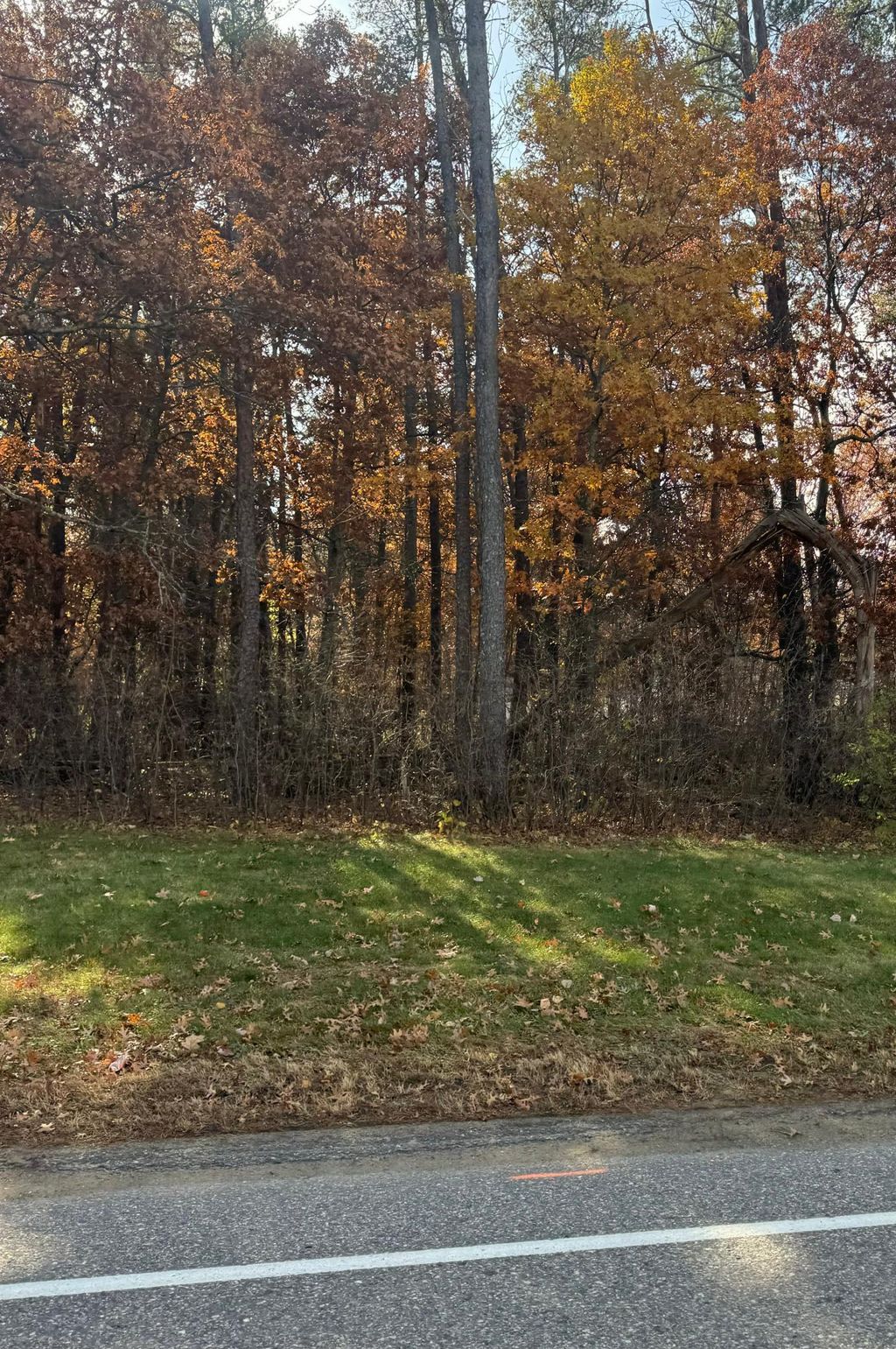 Photo of TBD Clearwater Road N, Baxter, MN 56425 (MLS # 7039776)