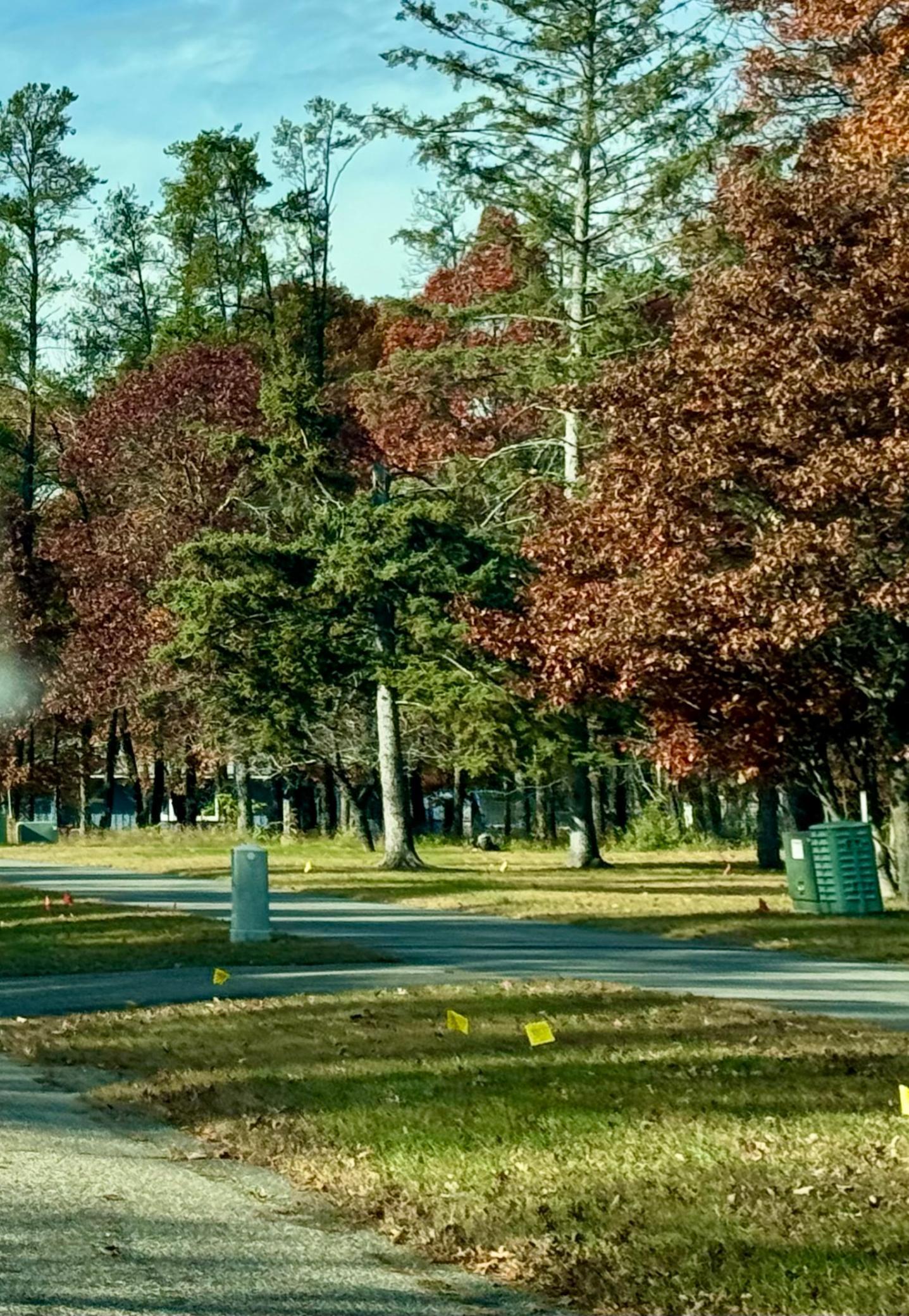 TBD Clearwater Road N