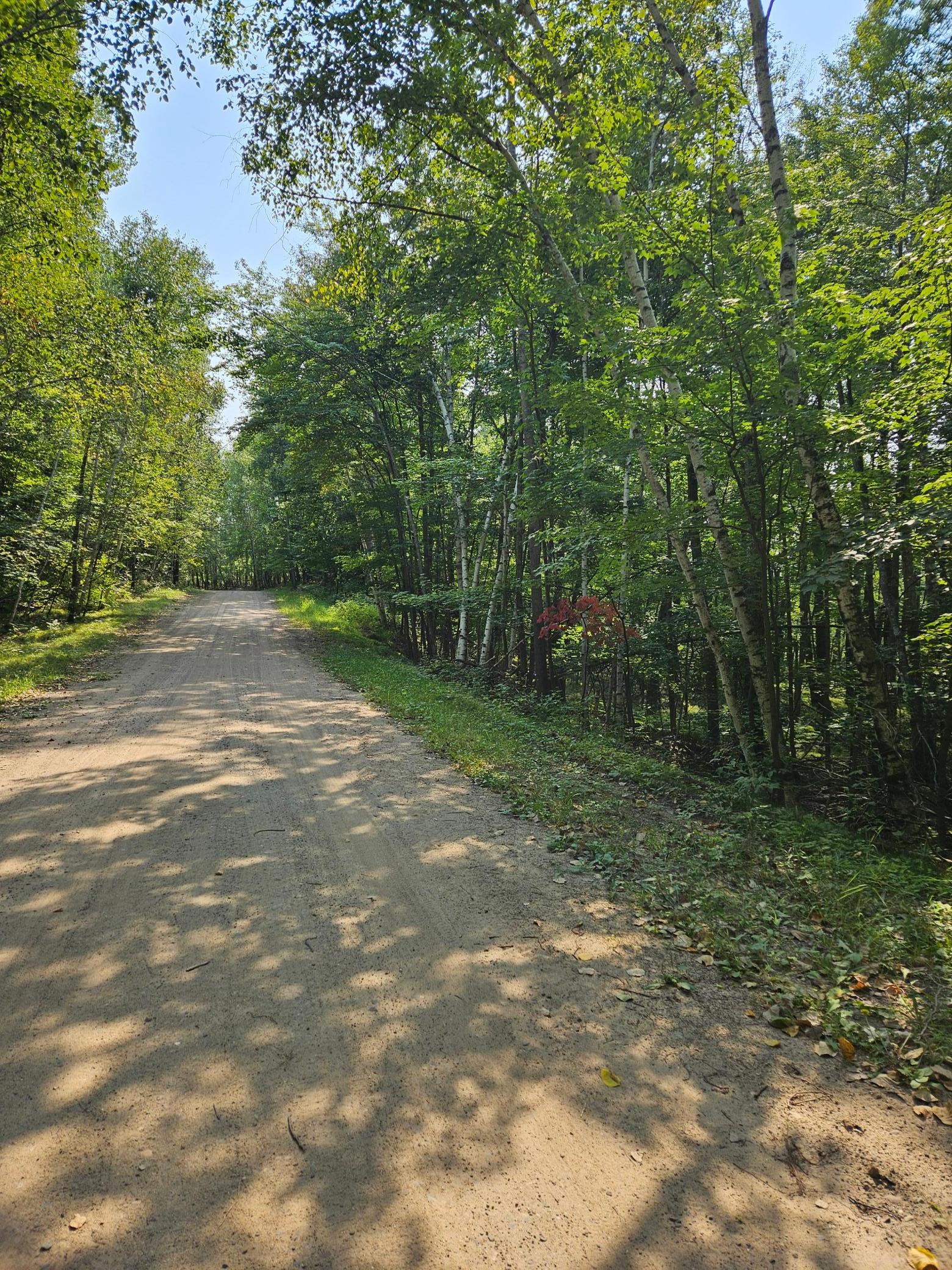 Catskill.jpg