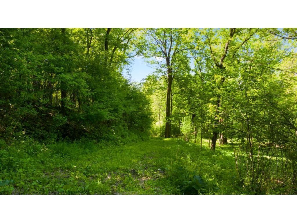 Photo of 12991 Point Douglas Drive S, Hastings, MN 55033 (MLS # 7059547)