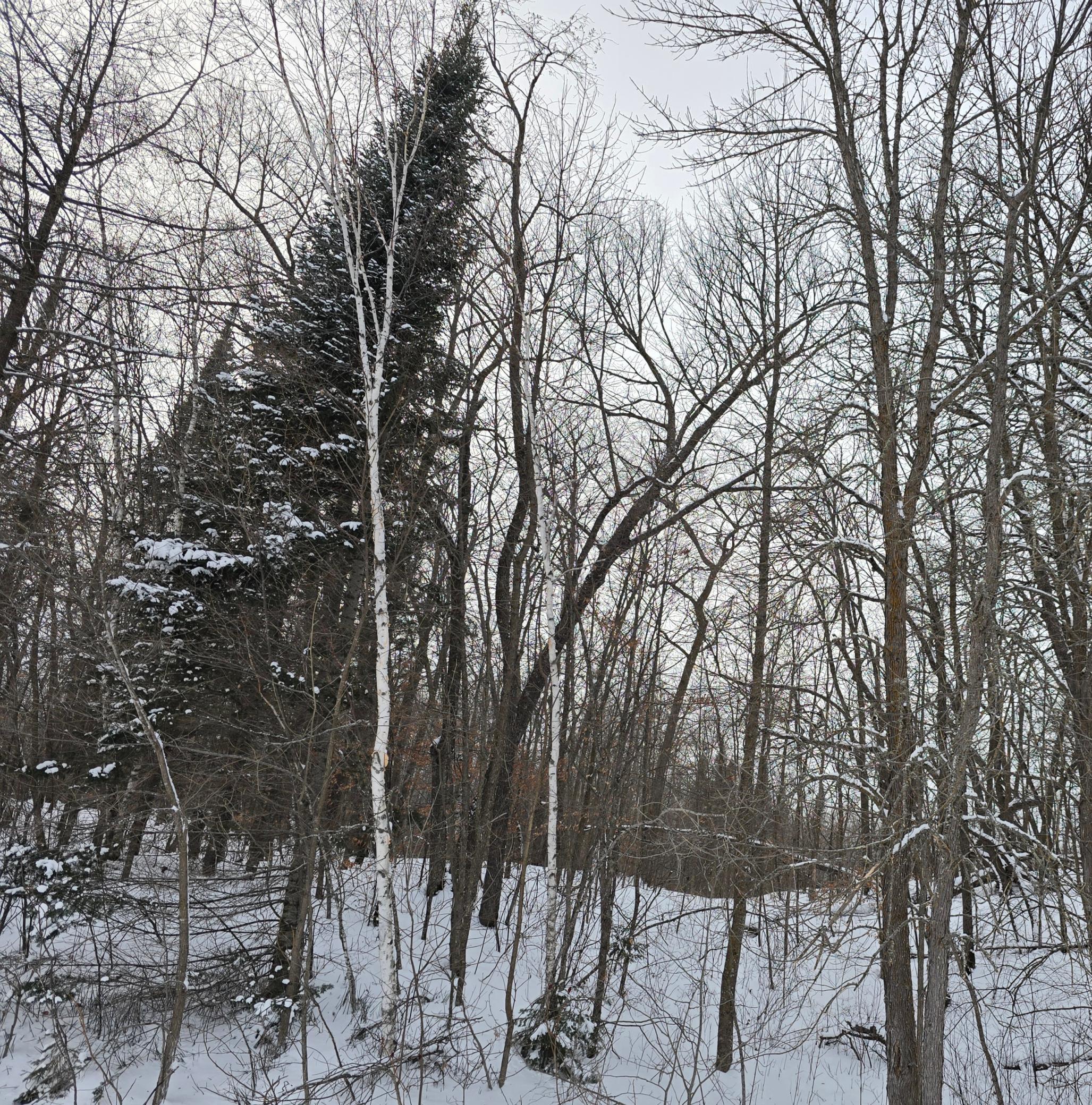 TBD County Highway 35