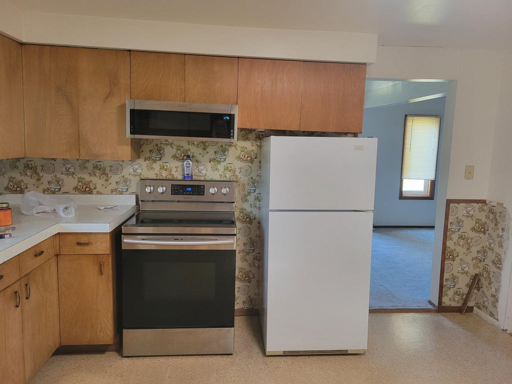 Photo of 614 S Douglas Avenue, Hallock, MN 56728 (MLS # 7156224)
