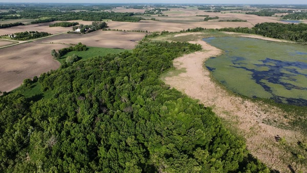 GONVICK AVE, MORRISTOWN, MN 55052 - Image b573a8971d0124a7a66672fc4abbd44d/1003614559