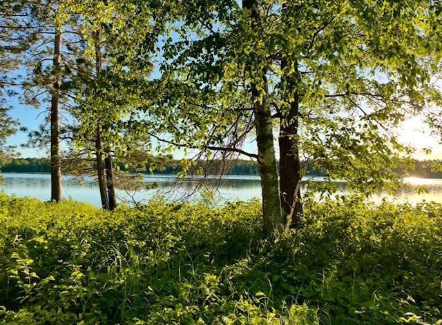 TBD Variety Lake Drive NW