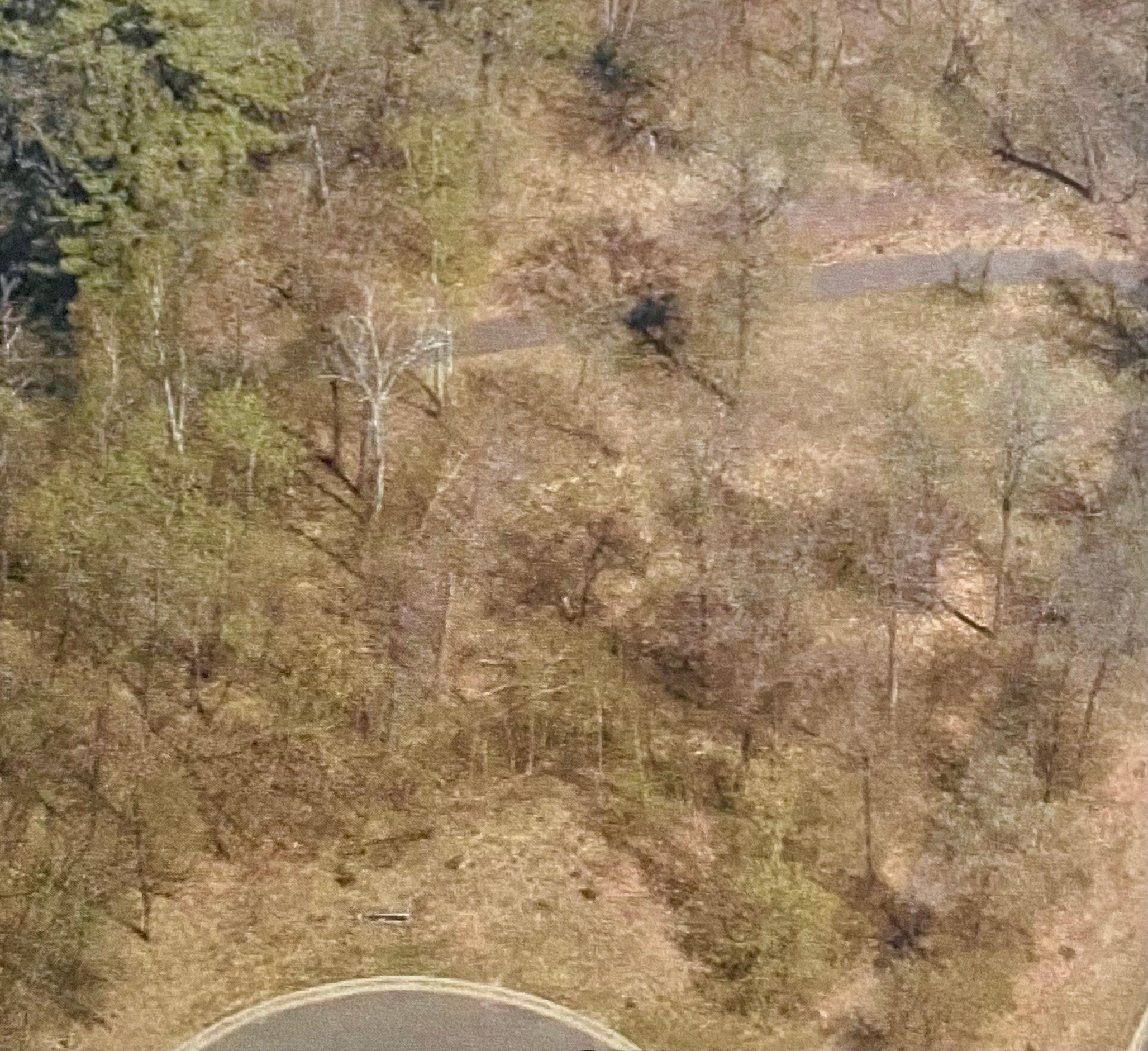 15963 Old Stonebridge Trail