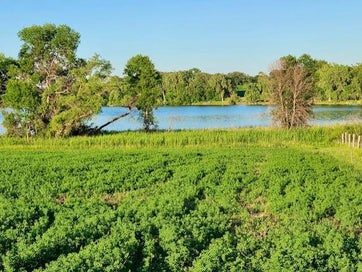 XXXX Co-Rd 108 NW Brandon MN 56315