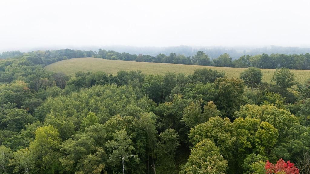 Photo of TBD (Lot 3) Goat Back Road, Pepin, WI 54759 (MLS # 7069189)