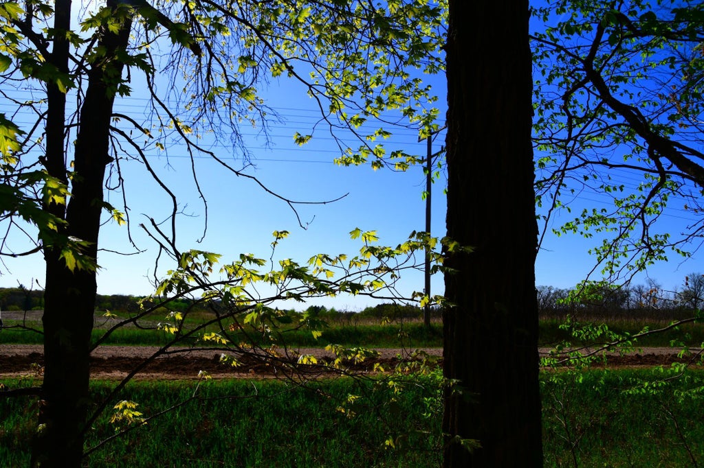Photo of TBD 285 Avenue, Browerville, MN 56438 (MLS # 7137123)