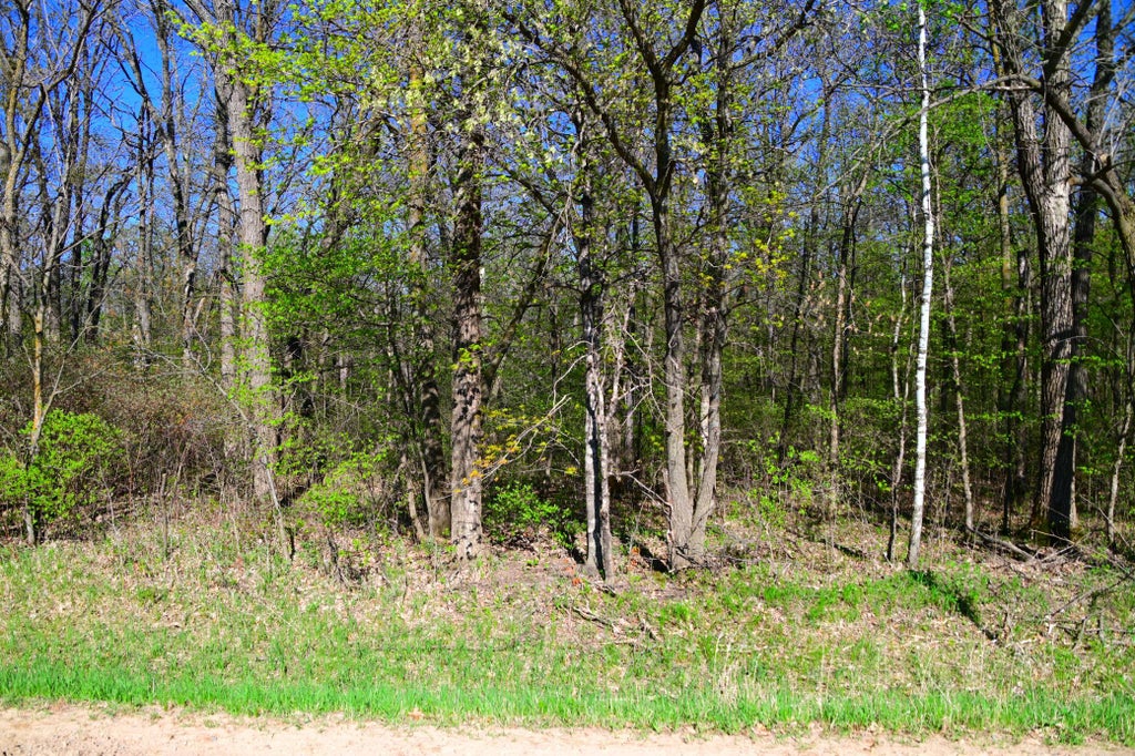 Photo of TBD 285 Avenue, Browerville, MN 56438 (MLS # 7137123)
