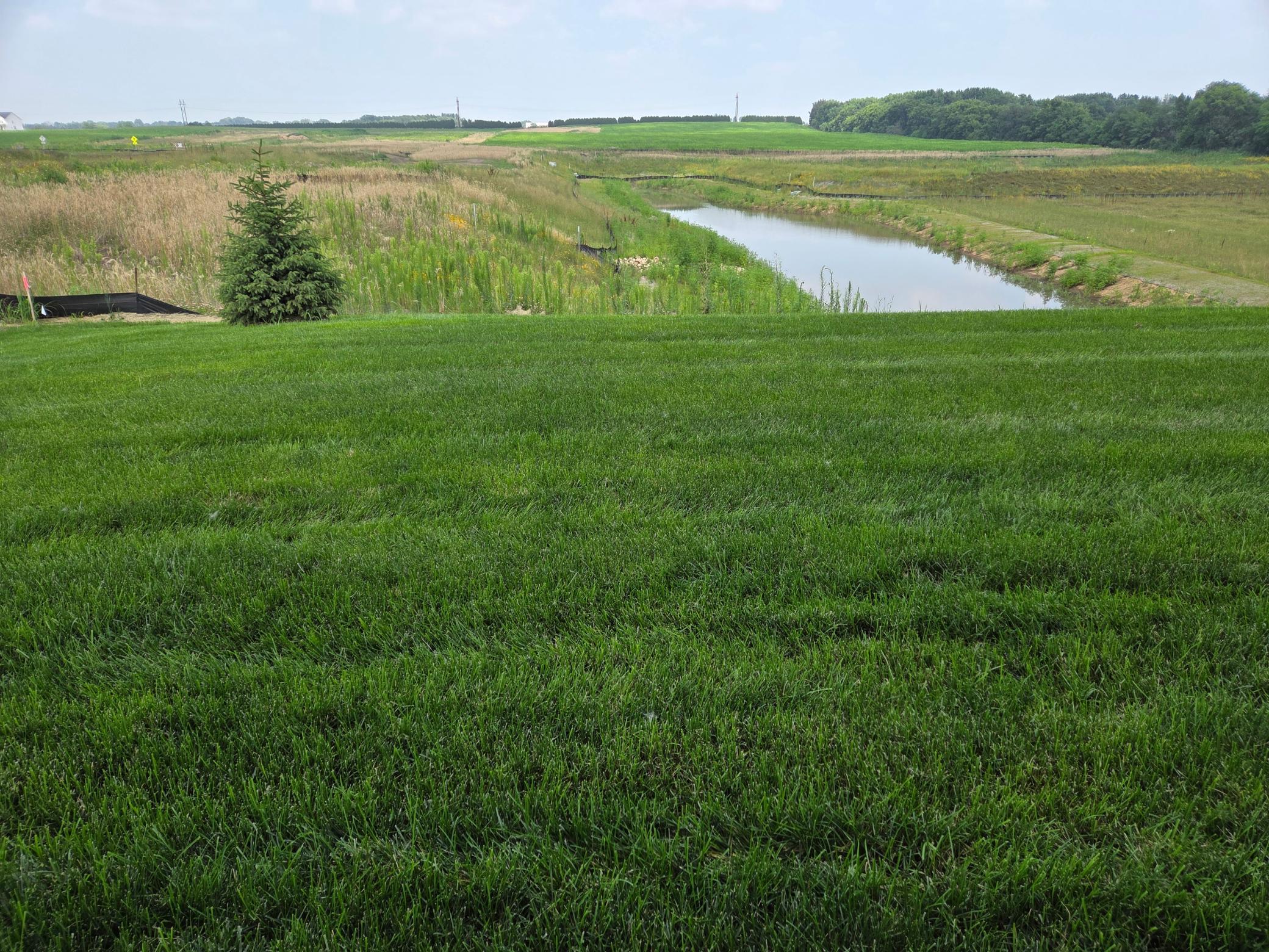 10718 Bent Pine Lane