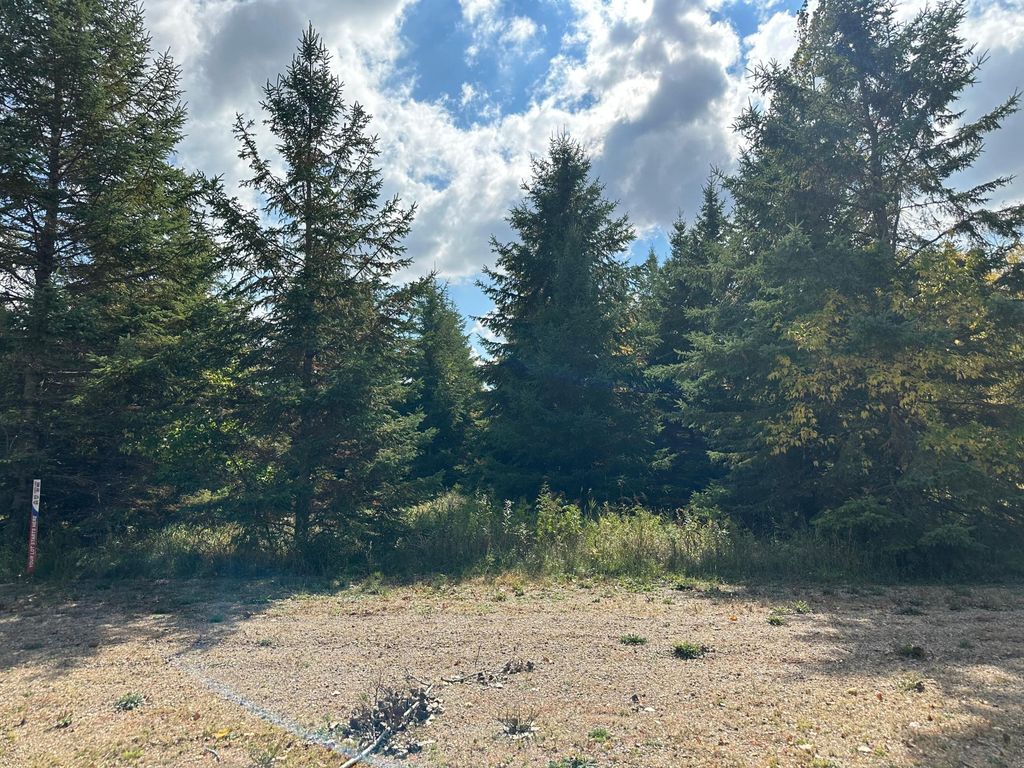 Photo of 26781 Lidstrom Road, Detroit Lakes, MN 56501 (MLS # 7014542)