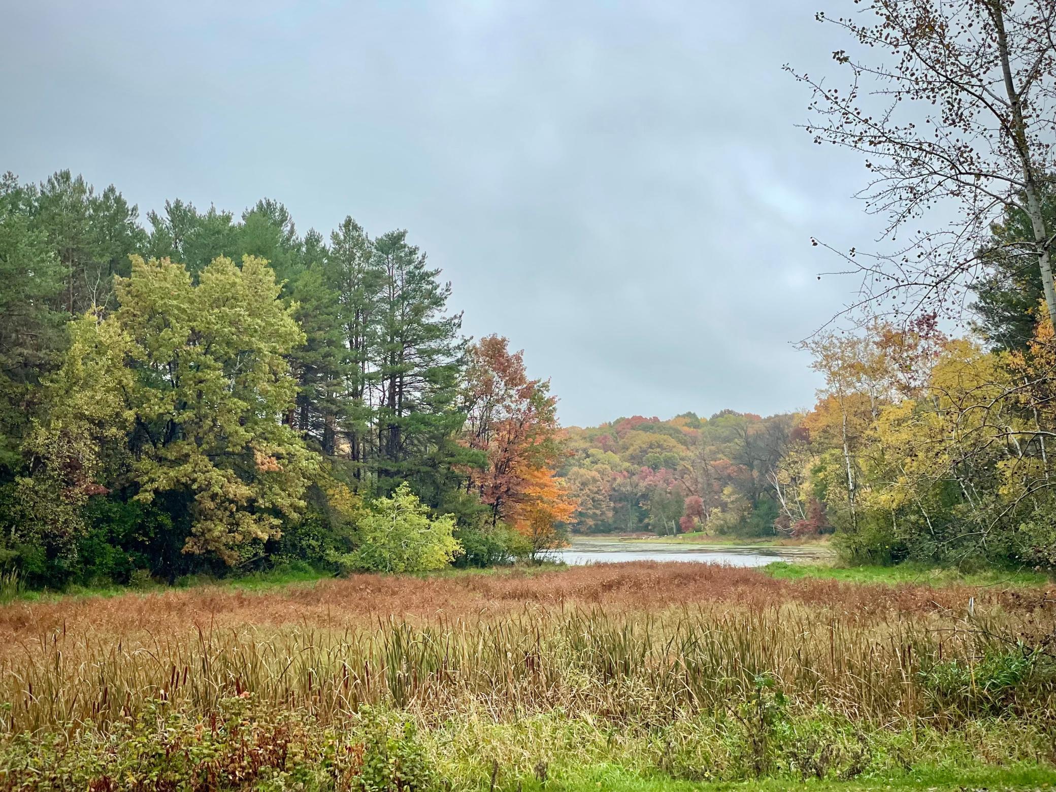 14169 Homestead Avenue N