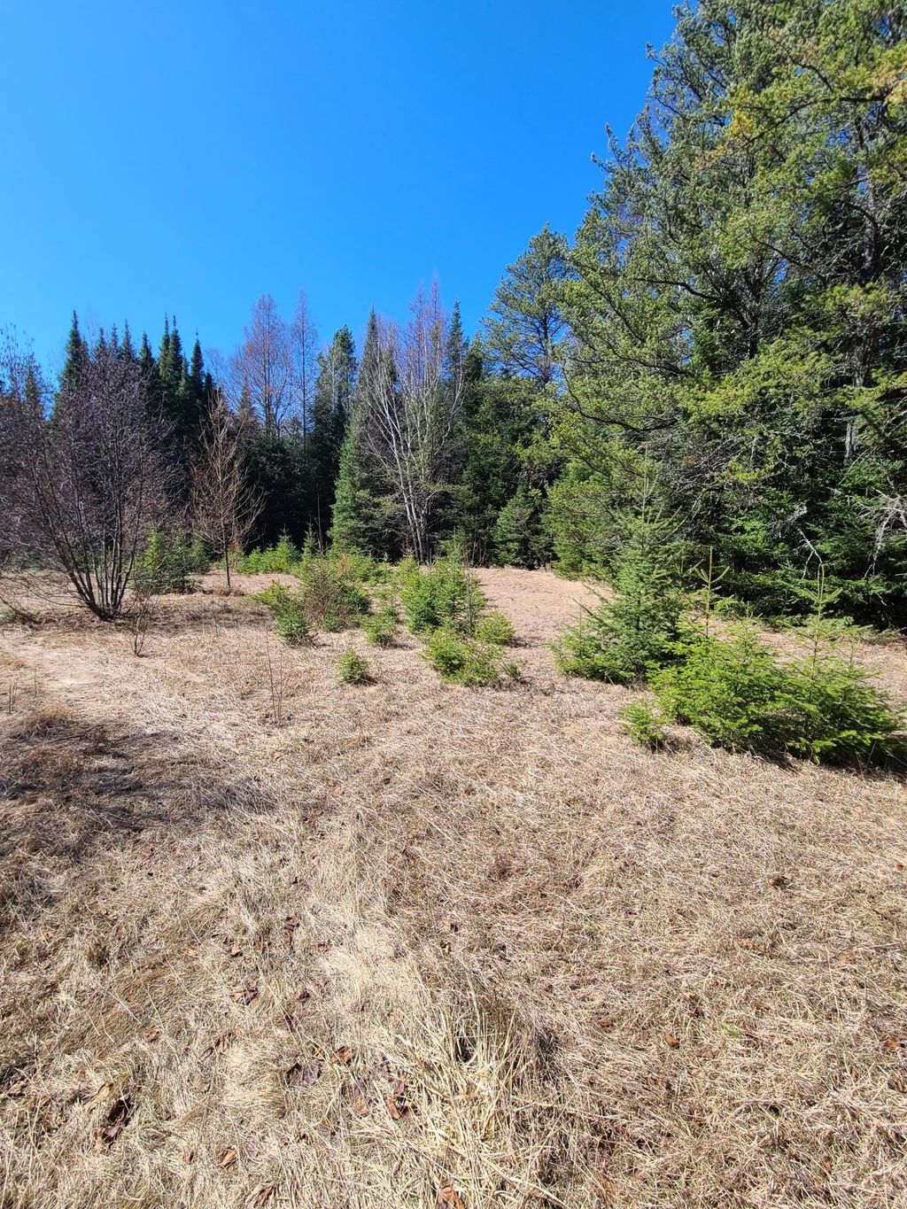 Photo of 3121 Highway 21, Babbitt, MN 55706 (MLS # 7058078)