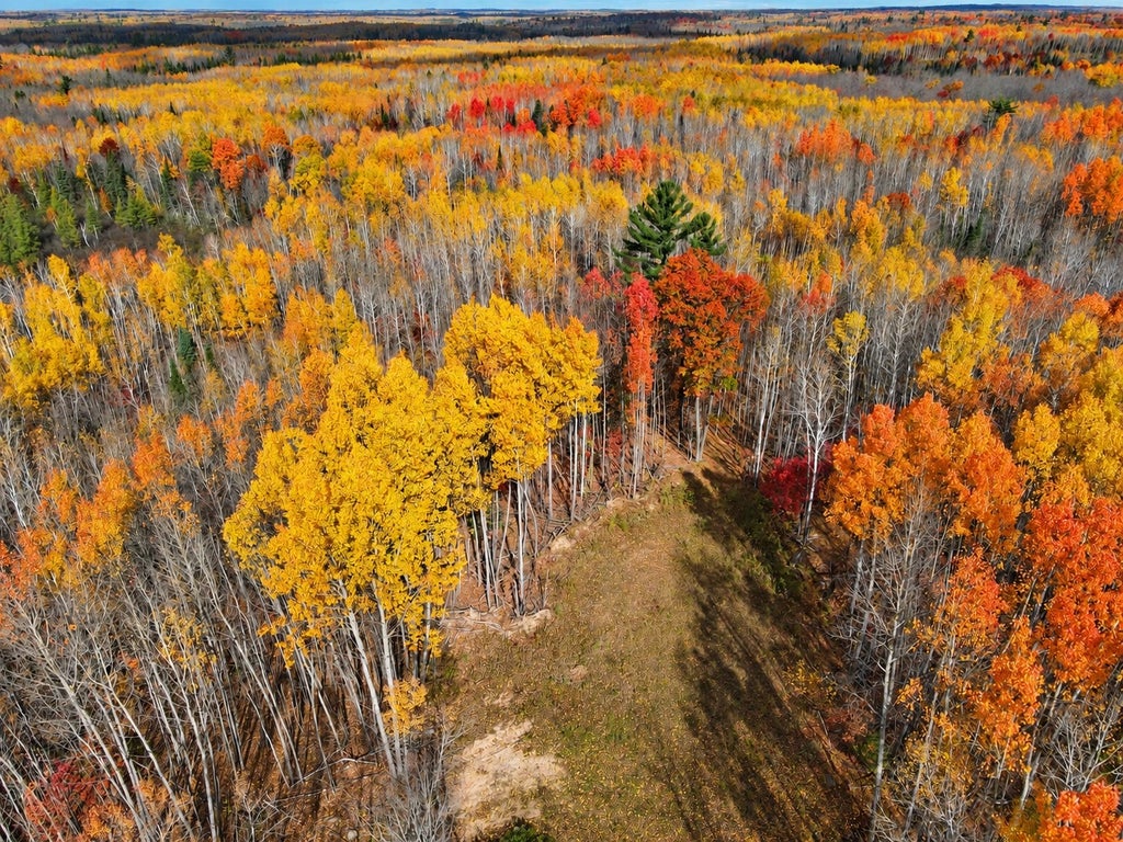 Photo of Parcel 2 County Road A, Solon Springs, WI 54873 (MLS # 7161391)