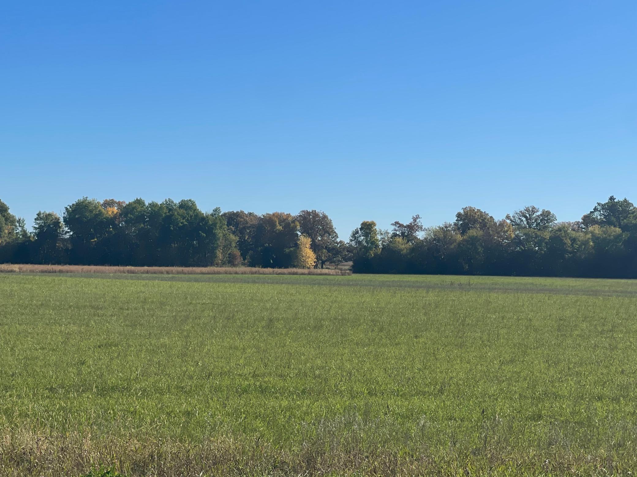 TBD XXX 85th Avenue, Lot 4