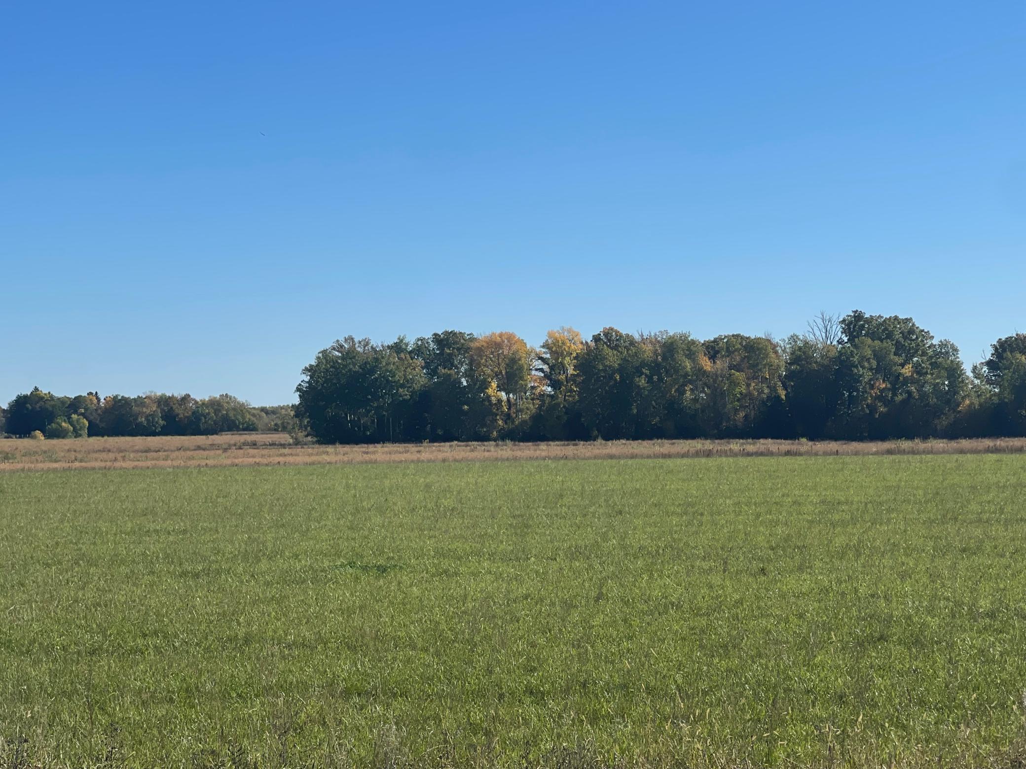 TBD XXX 85th Avenue, Lot 4