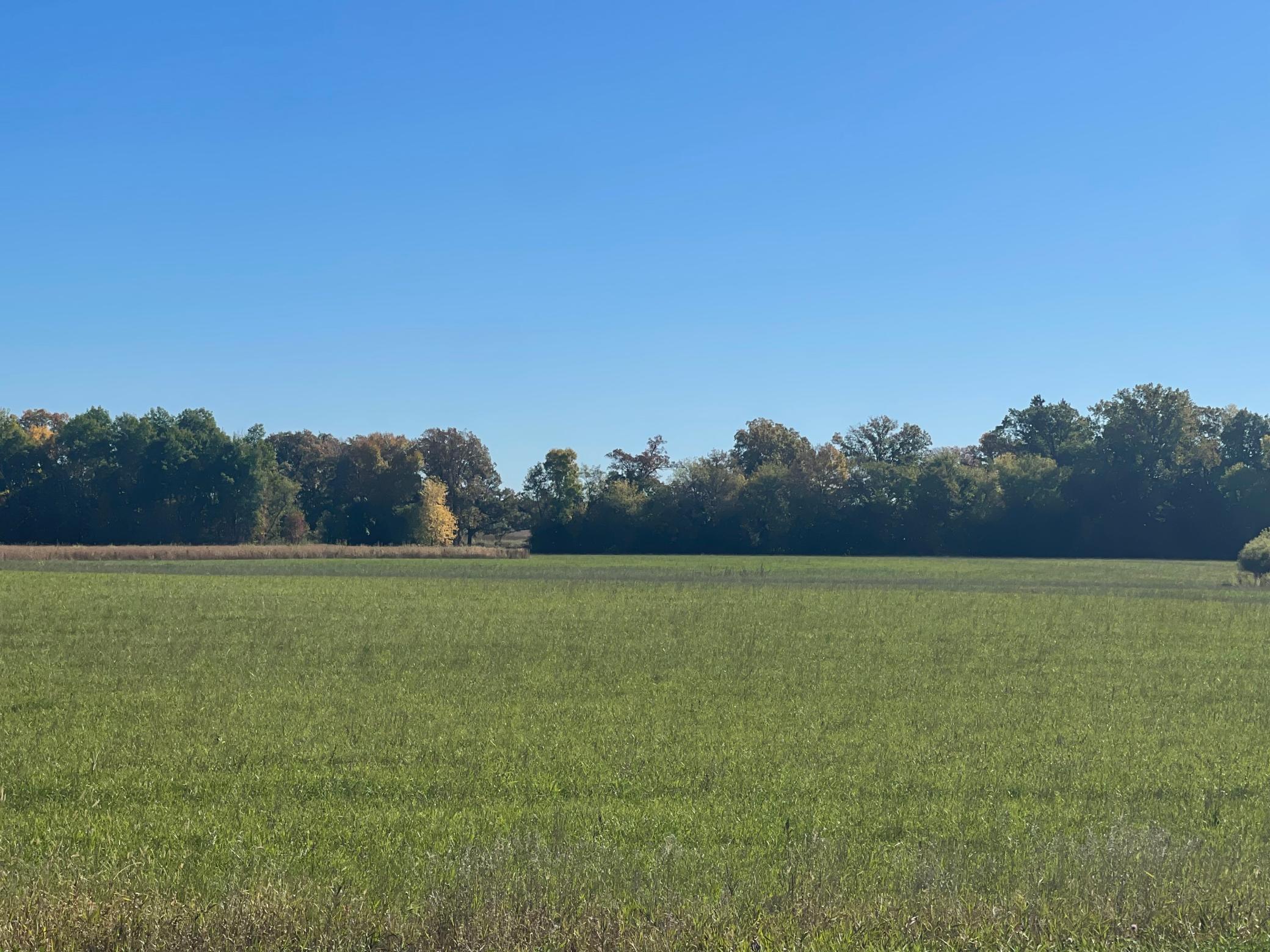 TBD XXX 85th Avenue, Lot 4