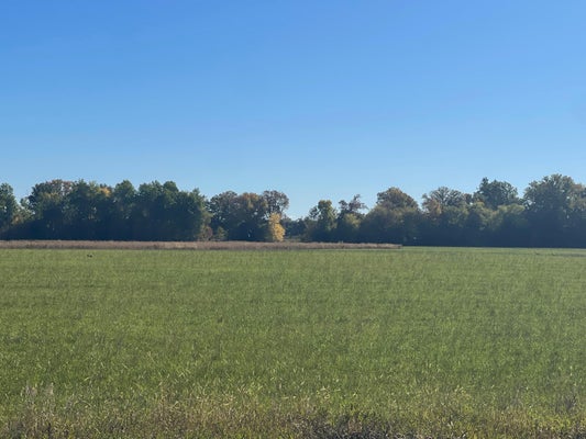 TBD XXX 85TH AVENUE, LOT 4, PRINCETON, MN 55371 - Image b88353aeebe3fc6ada1b0c0e45a8e79a/3775539672