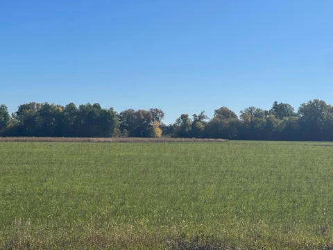 Featured picture for the property 7160131