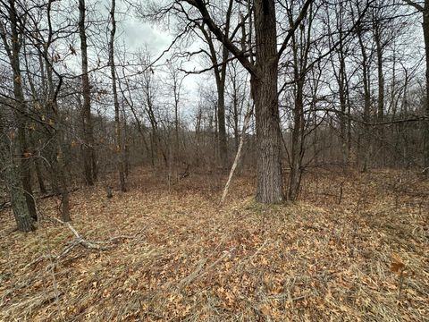 Lot 25 County Rd 11 Breezy Point MN 56472