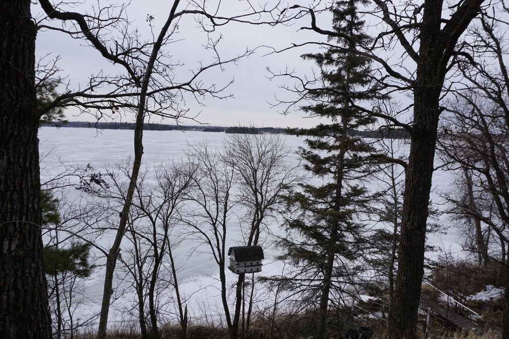 Photo of 51183 Timberwolf Trail, Shevlin, MN 56676 (MLS # 7035859)