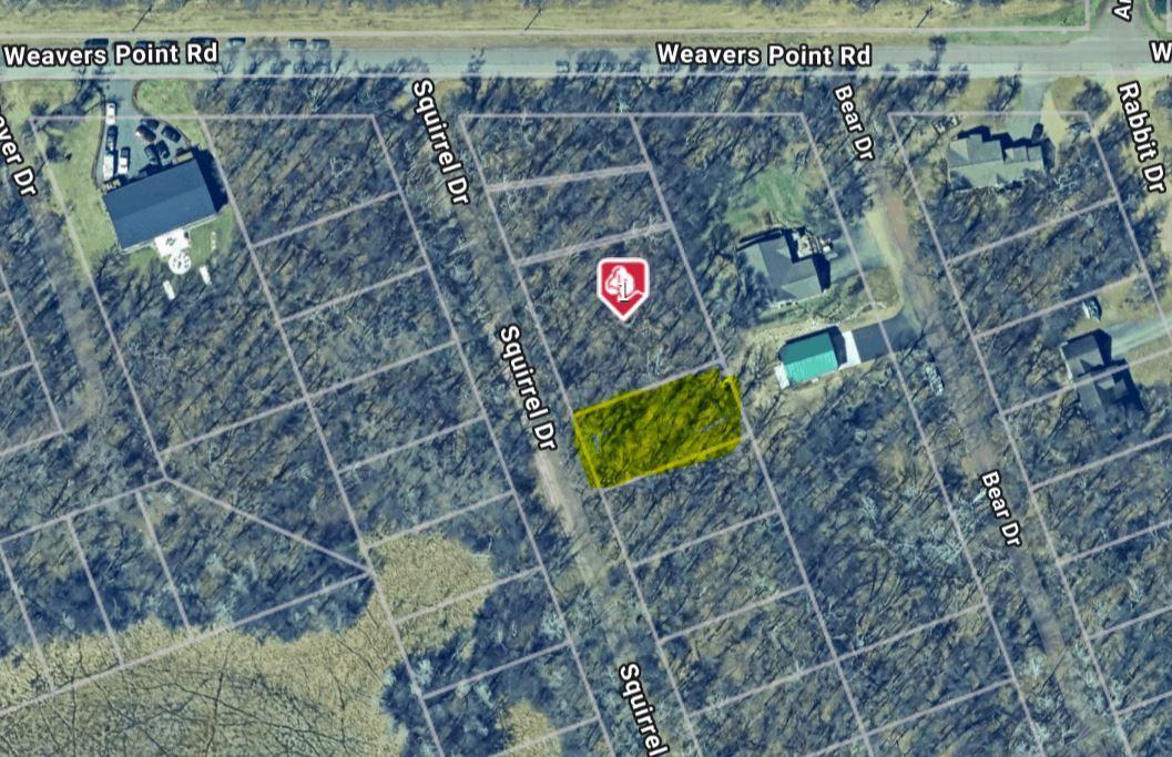 xxx TBD Squirrel Drive