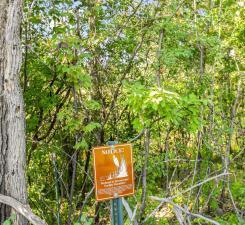 Lot 6 146th Terrace