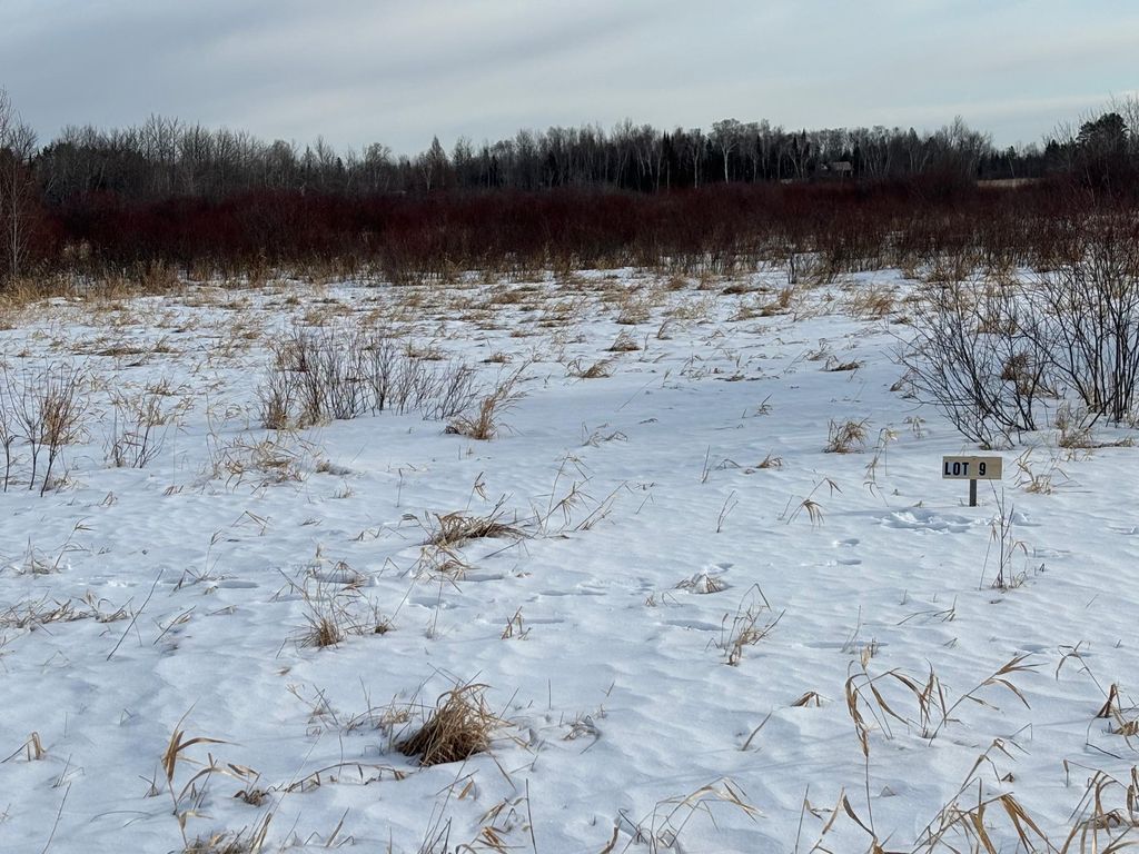 Photo of Lot 9 Irvine Avenue NW, Bemidji, MN 56601 (MLS # 7049075)