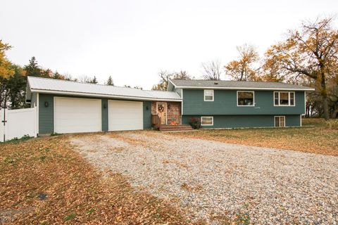 Photo of 11343 545th Avenue, Cosmos, MN 56228 (MLS # 6825285)