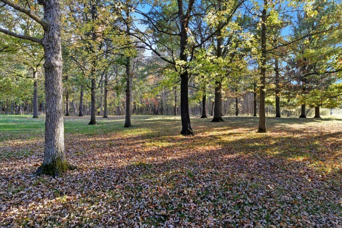 12128 County Road 30