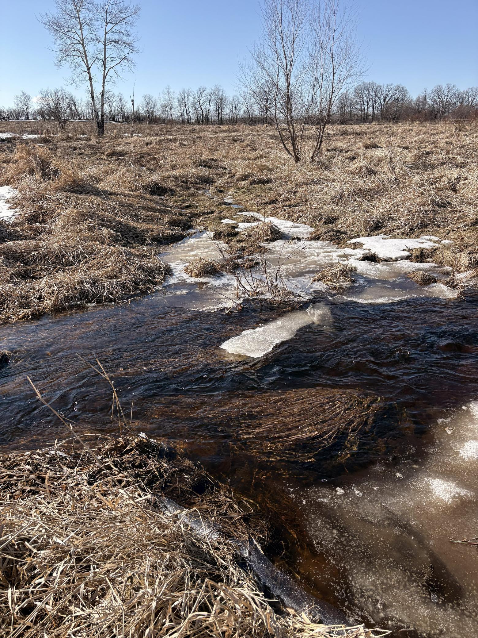 TBD 7.99 AC 160th Avenue