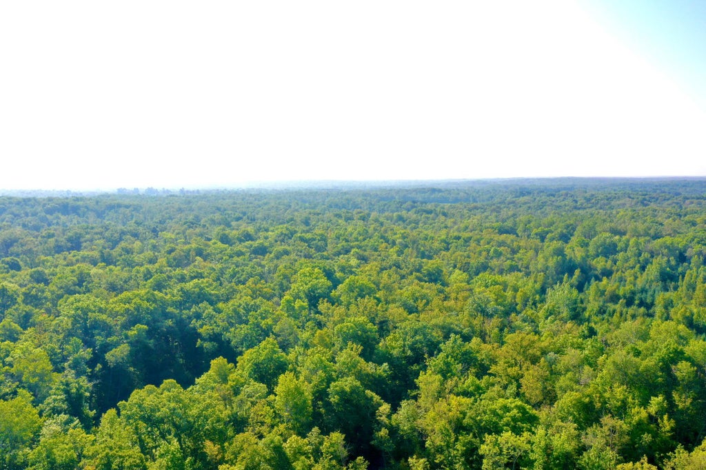 Photo of 2243 310th Avenue, Mora, MN 55051 (MLS # 7131198)